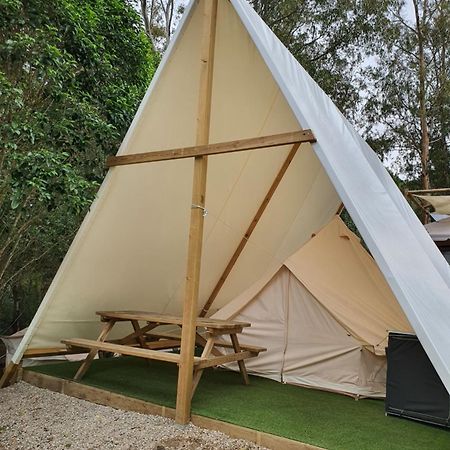 Bungalows Y Glamping Medina Sidonia Zewnętrze zdjęcie