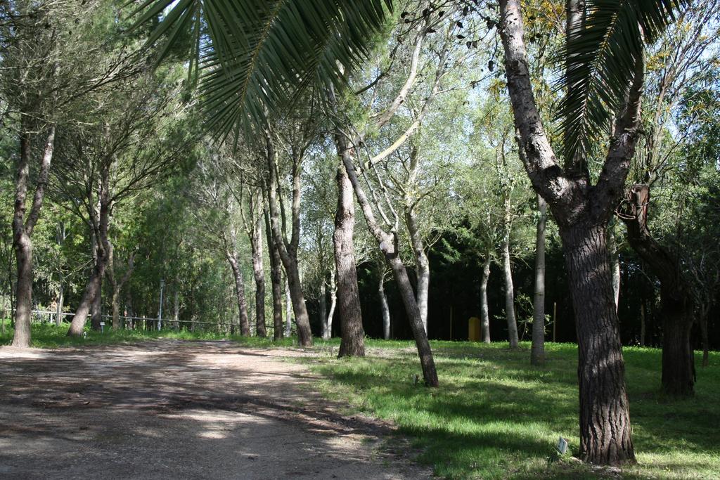 Bungalows Y Glamping Medina Sidonia Zewnętrze zdjęcie